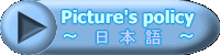 Picture policy